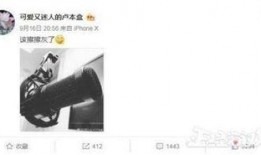 赵梦玥爆料娱乐圈,赵梦玥揭露惊人内幕